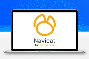 Navicat Premium 16 数据库管理工具永久破解激活教程